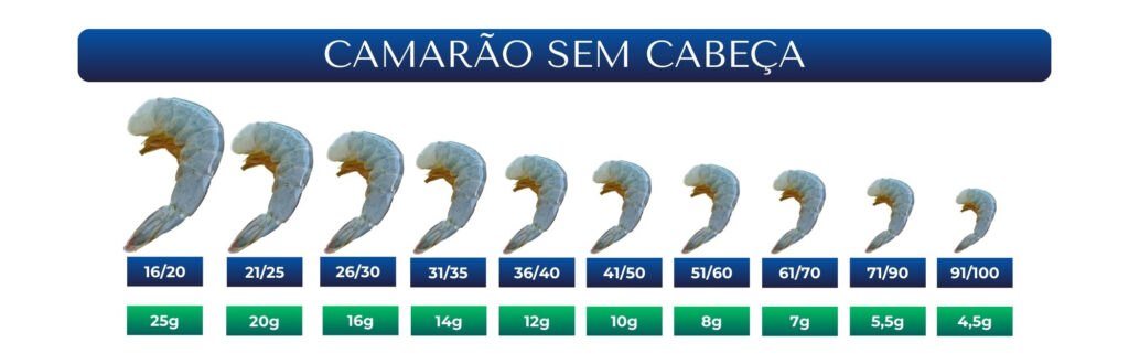 FUNDO ESCOLHIDO Hibryda Pescados TABELA 29 × 21 cm 1 2