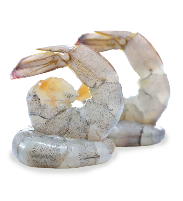 AdobeStock 128628066 2@2x 1