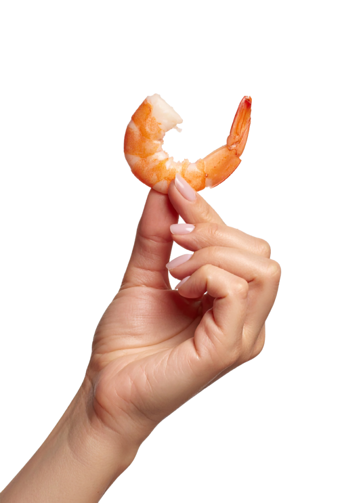 AdobeStock 1557014765@2x e1761144132344